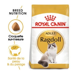 Royal Canin Ragdoll Adult Pour Chat 10kg 8 Royal Canin Ragdoll Adult Pour Chat 10kg -Pet Market Soldes royal canin ragdoll adult ragdoll 1 1