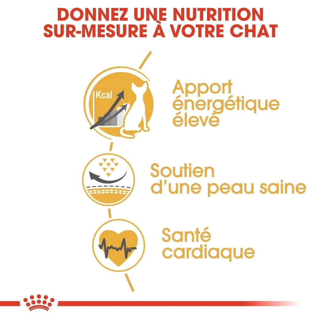 Royal Canin Sphynx Adult Pour Chat 10kg 4 Royal Canin Sphynx Adult Pour Chat 10kg – Image 4