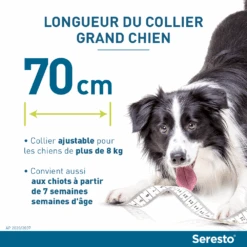Seresto Collier Chien -Pet Market Soldes seresto grand chien longueur du collier